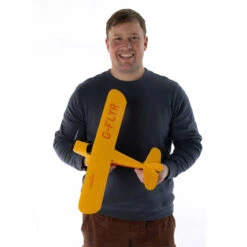 Hobbyzone Champ Anniversary Special Edition 515mm Ready-to-Fly RC Airplane With SAFE 37 Hobbyzone Champ Anniversary Special Edition 515mm Ready-to-Fly RC Airplane With SAFE -RC SuperStore HBZ04900 19 16505.1752545007