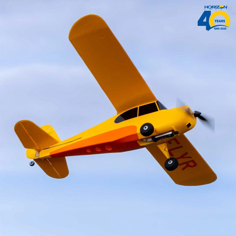 Hobbyzone Champ Anniversary Special Edition 515mm Ready-to-Fly RC Airplane With SAFE 2 Hobbyzone Champ Anniversary Special Edition 515mm Ready-to-Fly RC Airplane With SAFE - Image 2